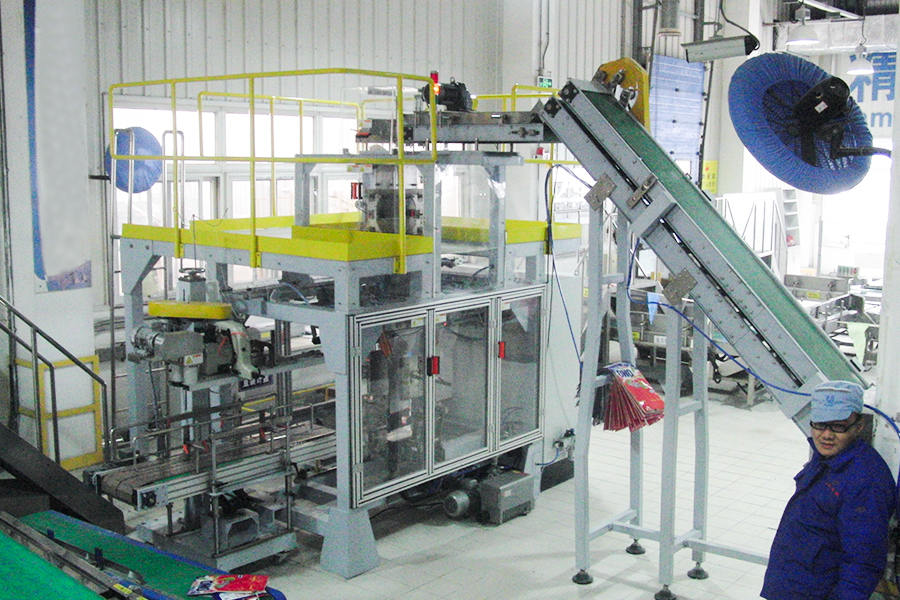 Unilever (Single CELLA secundarium Packaging linea) Site